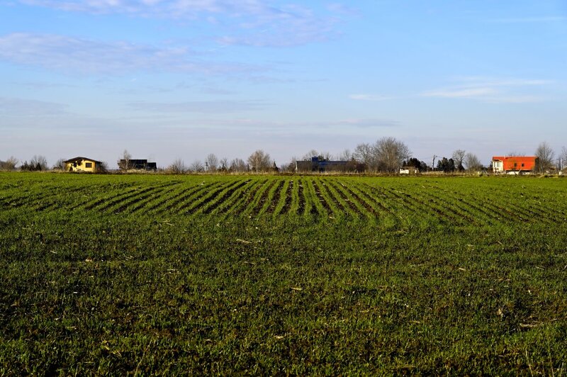 Izvorani, Delta Snagov la 100 m lac, vanzare teren de colt Ilfov 740 mp.