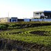 Izvorani, Delta Snagov la 100 m lac, vanzare teren de colt Ilfov 740 mp.